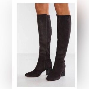 Stuart Weitzman Eloise 75 in Asphalt suede.